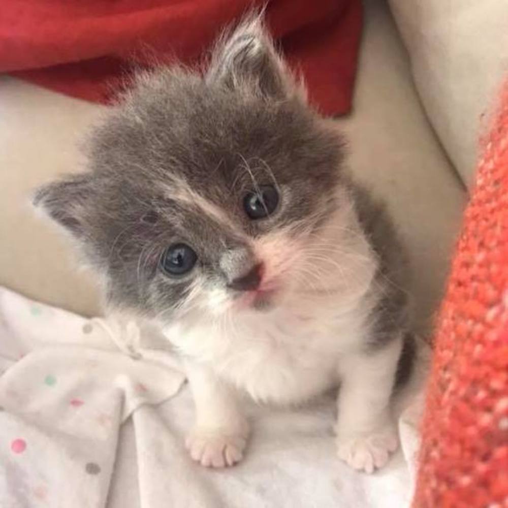 Meet your Posher, Teresa